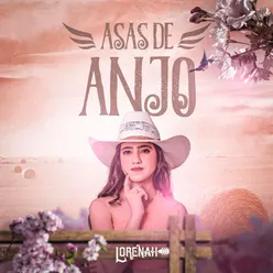 Asas de Anjo