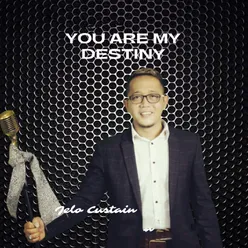 You Are My Destiny