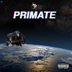 Primate Outro