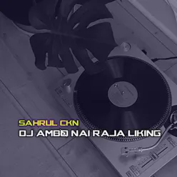 DJ Ambo Nai Raja Liking