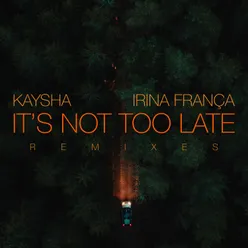 It's Not Too Late Remixes