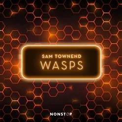 Wasps