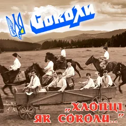 Хлопці, як соколи!