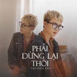 Phải Dừng Lại Thôi (Lofi Ver.)