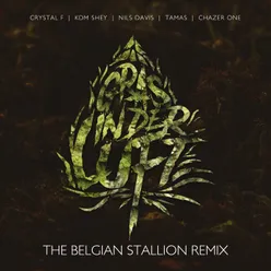 Gras in der Luft - EP The Belgian Stallion RMX