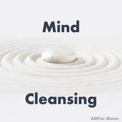 Mind Cleansing