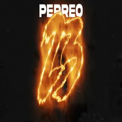 23 Perreo