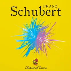 Franz Schubert Peaceful Classical Music