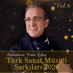 Türk Sanat Müziği Şarkıları 2020, Vol. 6