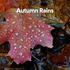 Rain on Puddle