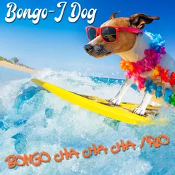 Bongo Cha Cha Cha / Rio Dog Version