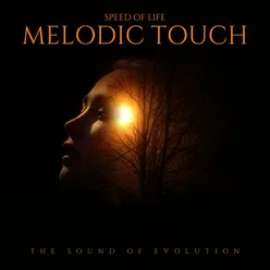 Melodic Touch The Sound Of Evolution