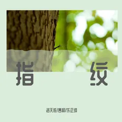 指纹 纯音乐版