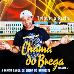 Tributo a Recife, Vol. 7 A Maior Banda de Brega do Nordeste