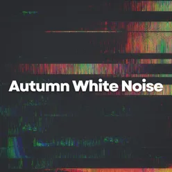 White Noise, Pt. 2 Loopable