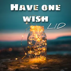 Have One Wish