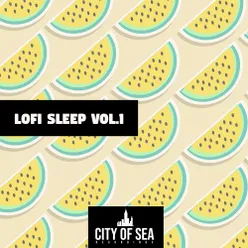 Lofi Sleep, Vol. 1