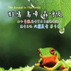 蛙鳴 鳥啼 森呼吸The Sound In The Forest 原音呈現 天籟美音 芬多精 全台首張高音質現場錄音