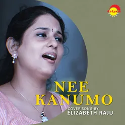 Nee Kanumo Recreated Version