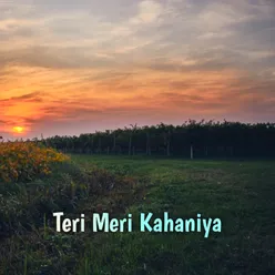 Teri Meri Kahaniya