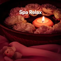 Relaxing Spa Music 1