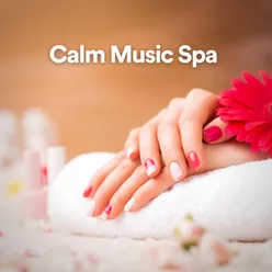 Relaxing Spa Therapy Music 1
