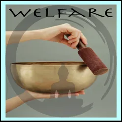 welfare 13