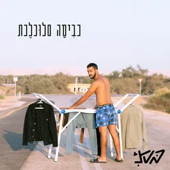 מעגלים