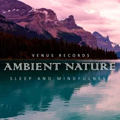 Ambient Nature | Ambient Music To Help You Stay Deep Focus and Concentration