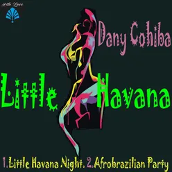 Little Havana Night