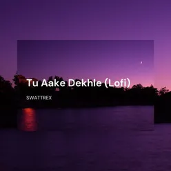 Tu Aake Dekhle Lofi