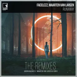 Runaway Maarten Van Larsen & Sonix Remix