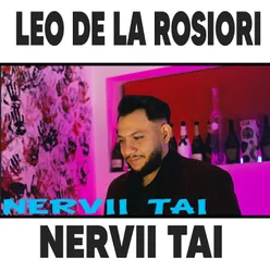 Nervii Tai