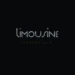 Limousine Essentials