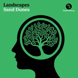 Landscapes - Sand Dunes