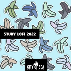 Study Lofi 2022