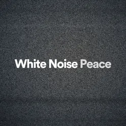 White Noise Peace, Pt. 2