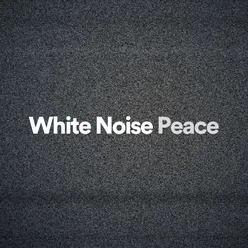 White Noise Peace, Pt. 3