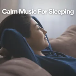 Calm Music For Sleeping, Pt. 10