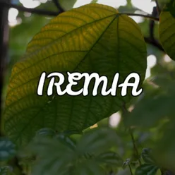 Iremia