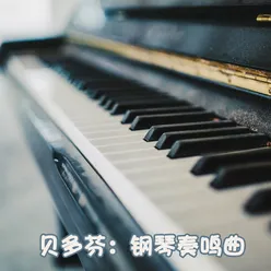 第8号钢琴奏鸣曲"悲怆" in C Minor, Op. 13 No. 8: 第一乐章.