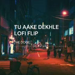 Tu Aake Dekhle Lofi Flip