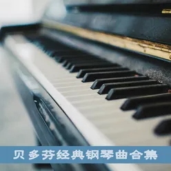 第九交响曲"欢乐颂" in D Major, Op. 125: 第四乐章 为钢琴而作