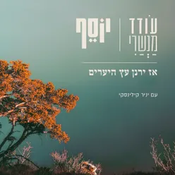 אז ירנן עץ היערים