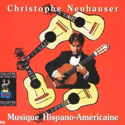 Christophe Neuhauser, Guitare