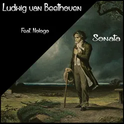 Sonata Electronic Version