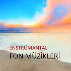 Enstrümantal Fon Müzikleri