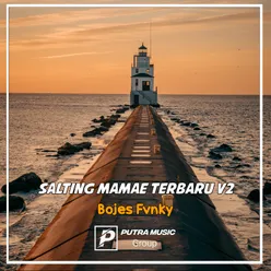 SALTING MAMAE TERBARU, Vol. 2 Remix