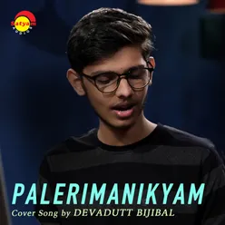 Palerimanikyam Recreated Version