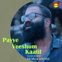 Payye Veeshum Kaatil Recreated Version